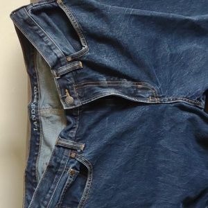 Land End Men Jeans